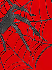 Spider Print Boys T Shirt Cosplay Costume Tee Kids Short Sleeve Novelty Top