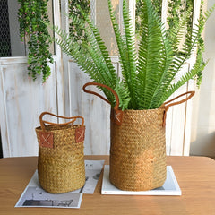 Natural Woven Seagrass Tote Belly Basket for Home Organize