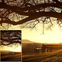 3pc Landscape Canvas Paintings for Home Decor 23.6x35.4 Inches