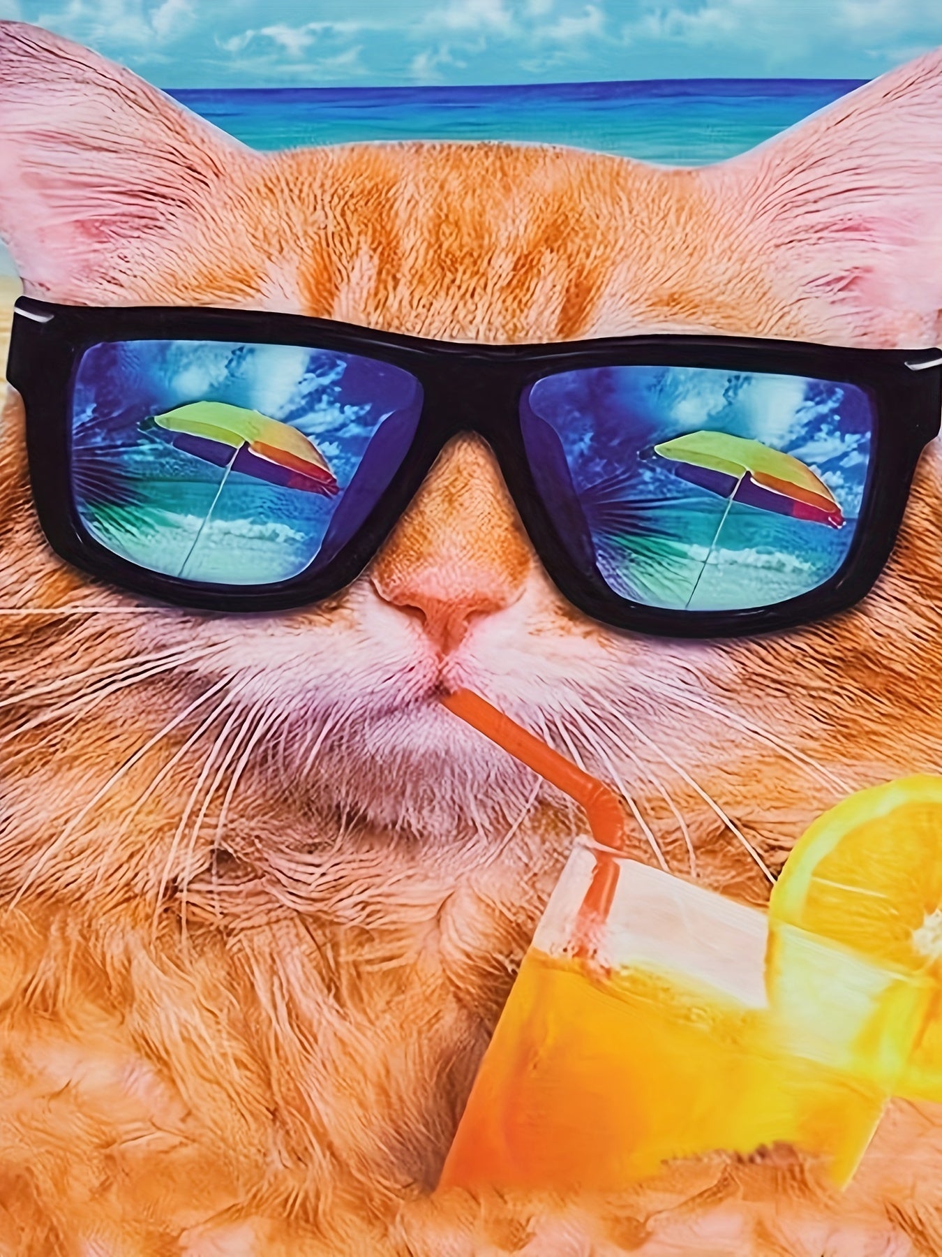 3D Beach Kitty Short Sleeve T shirt for Boys Girls