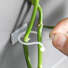 10pcs Plant Climbing Wall Rack 3 in 1 Plant Hanging Rack
