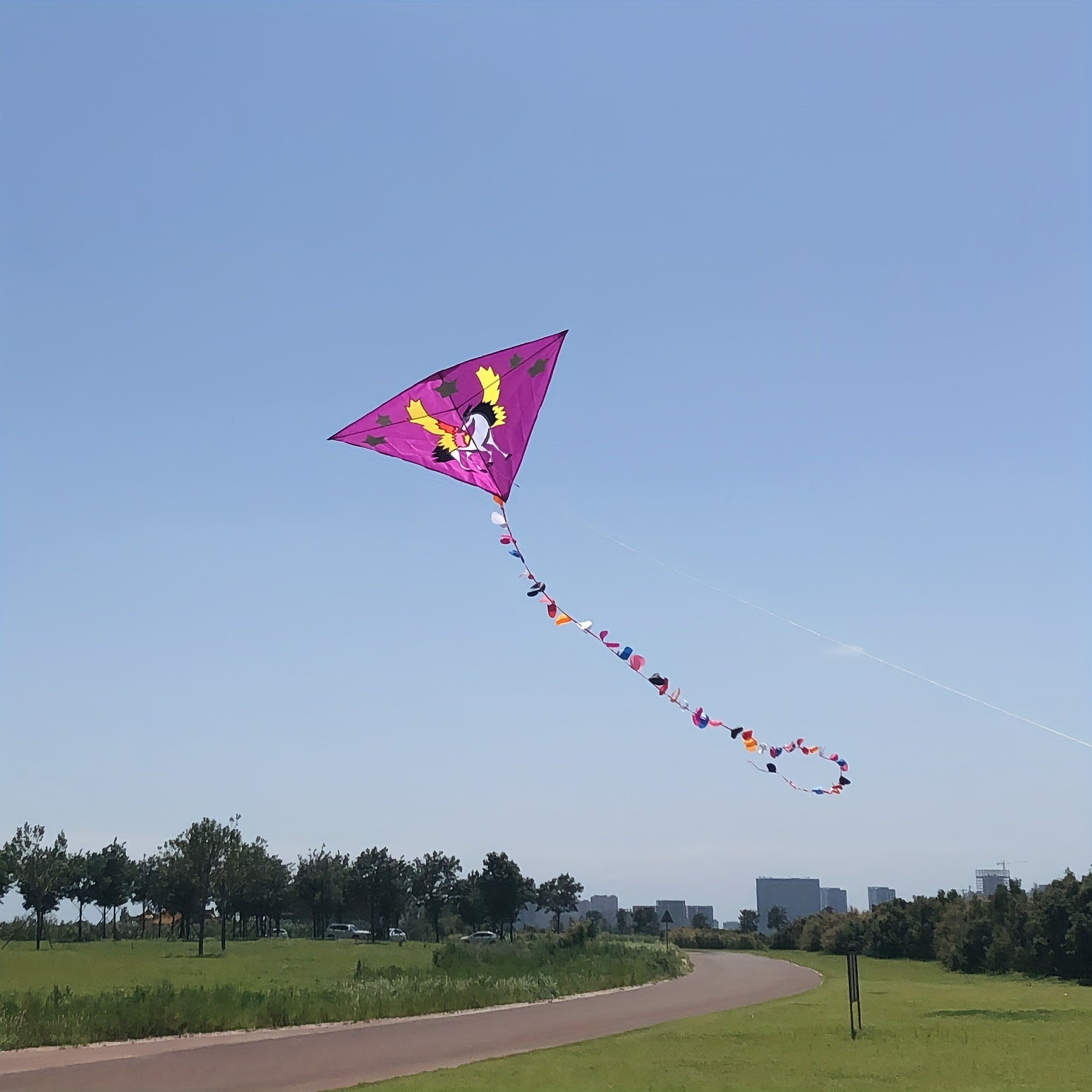 Sky Horse Kite 30m Flying Line D handle Beach Park Yard Outdoor Entertainment