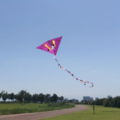 Sky Horse Kite 30m Flying Line D handle Beach Park Yard Outdoor Entertainment