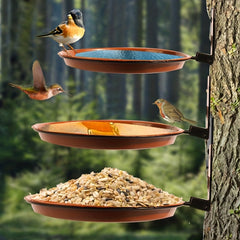 Sturdy Hummingbird Bird Feeder for Garden