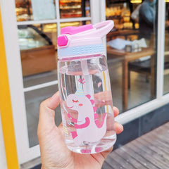 480ml Cleanable Water Bottle With Silicone Straw Leakproof Water Cup
