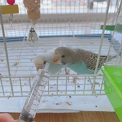 10-60ml Individually Wrapped Syringe for Pets - Easy Medicine Dropper