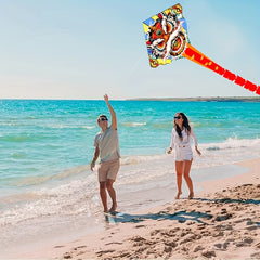 Lion Kite for Outdoor Fun - Creative Beach Park Yard Entertainment