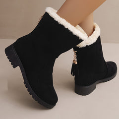 Women's Winter Snow Boots Tassel Plush Inner Low Heel Mid Calf Boots