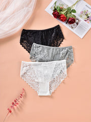 3 Pack Plus Size Lace Trim Briefs Set Dandelion Print High Stretch Underwear