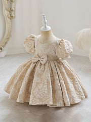 Baby Girls Flower Bowknot Princess Dress Clothes