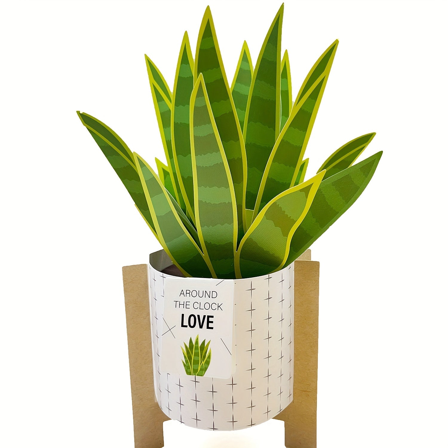 3D Pop Up Card Snake Plant Birthday Thank You Valentine's All Occasion