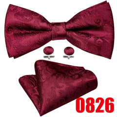 Barry Wang Men's Burgundy Red Paisley Bow Tie Set
