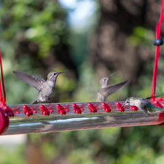 Decorative Hummingbird Water Feeder Stake