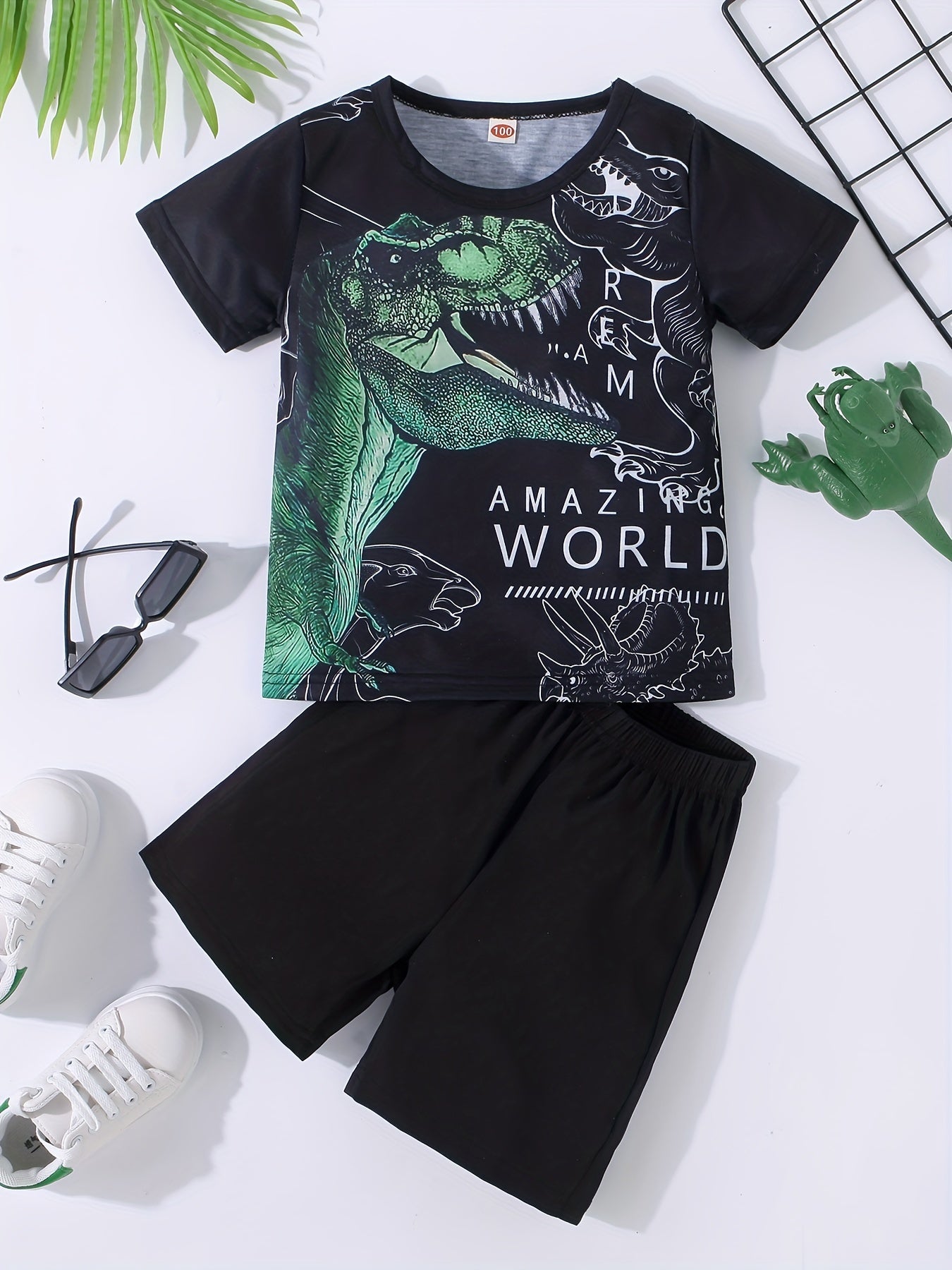 Boys Dinosaur Graphic Print T-shirt & Shorts Set Clothing