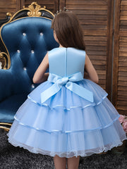 Girls Princess Dress Sleeveless Flower Embroidery Mesh Tutu Dress