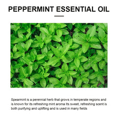100ml Peppermint Essential Oil 100% Natural for Massage Skin Care Aromatherapy