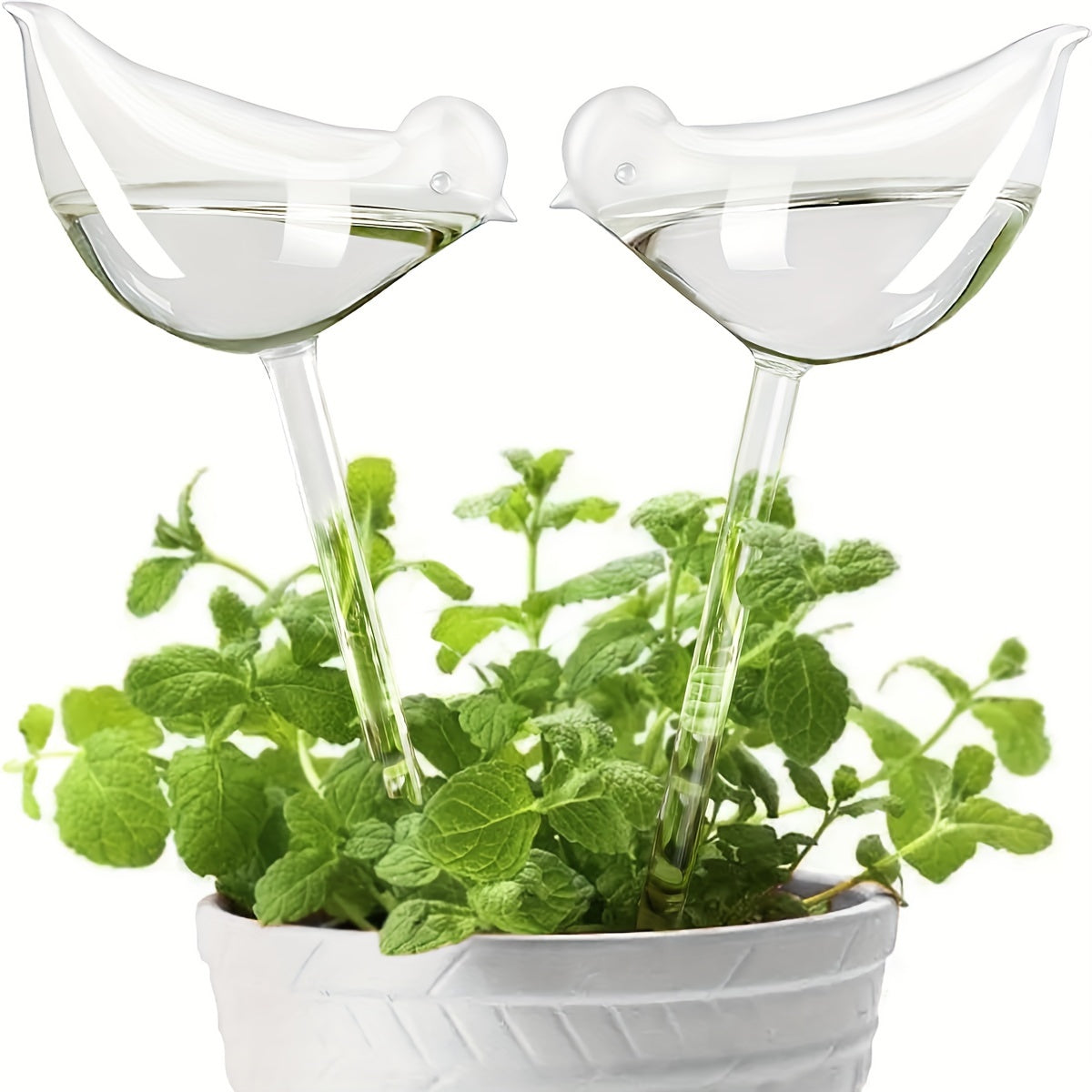 2 Pcs Plant Waterer Self Watering Globes Bird Shape Hand Blown Clear Plastic