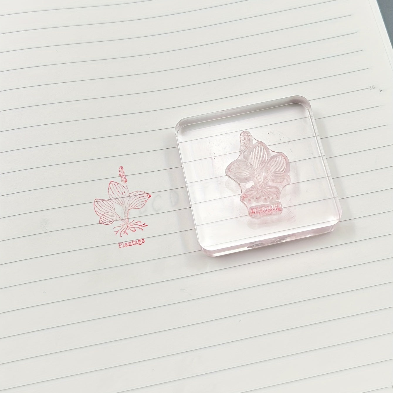 Transparent Plant Silicone Stamp for DIY Handbook Seal
