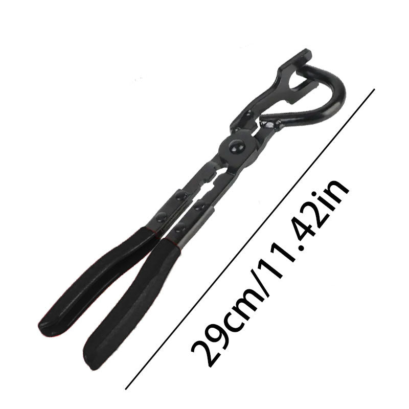 img_6593947