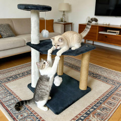 img_6353167