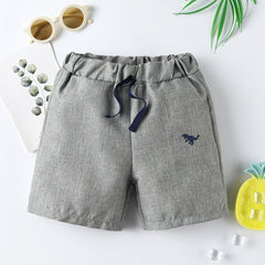 Boys Dino Embroidered Drawstring Shorts Kids Summer Clothes