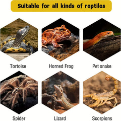 Resin Dock Rectangular Turtle Tank Decoration