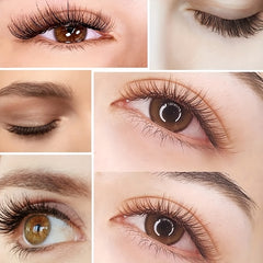 Mega Volume Individual Lashes 0.07D 7-15mm DIY Eyelash Extensions