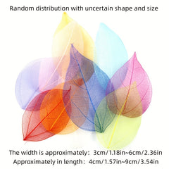 30pcs Leaf Vein Embossing Phone Case Adhesive Dry Flower DIY Set