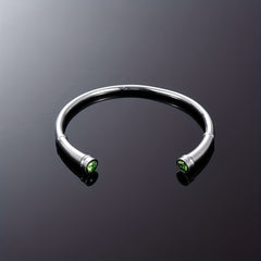 Stainless Steel Cremation Bracelet with Birthstone Keepsake Jewelry