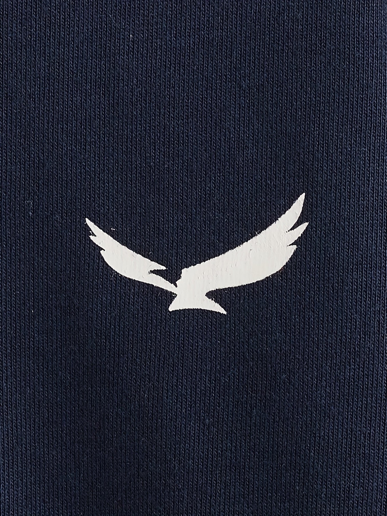 Boys Stylish Eagle Print Sweatshirt Long Sleeve Crew Neck Top