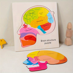 Wooden Brain Anatomy Learning Puzzle for Ages 3 Educational Cognitive Toy