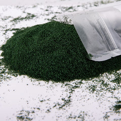 10G HO N Scale Terrain Ground Powder For Railway Military Landscape