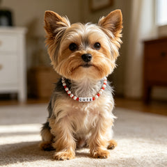 img_5497488