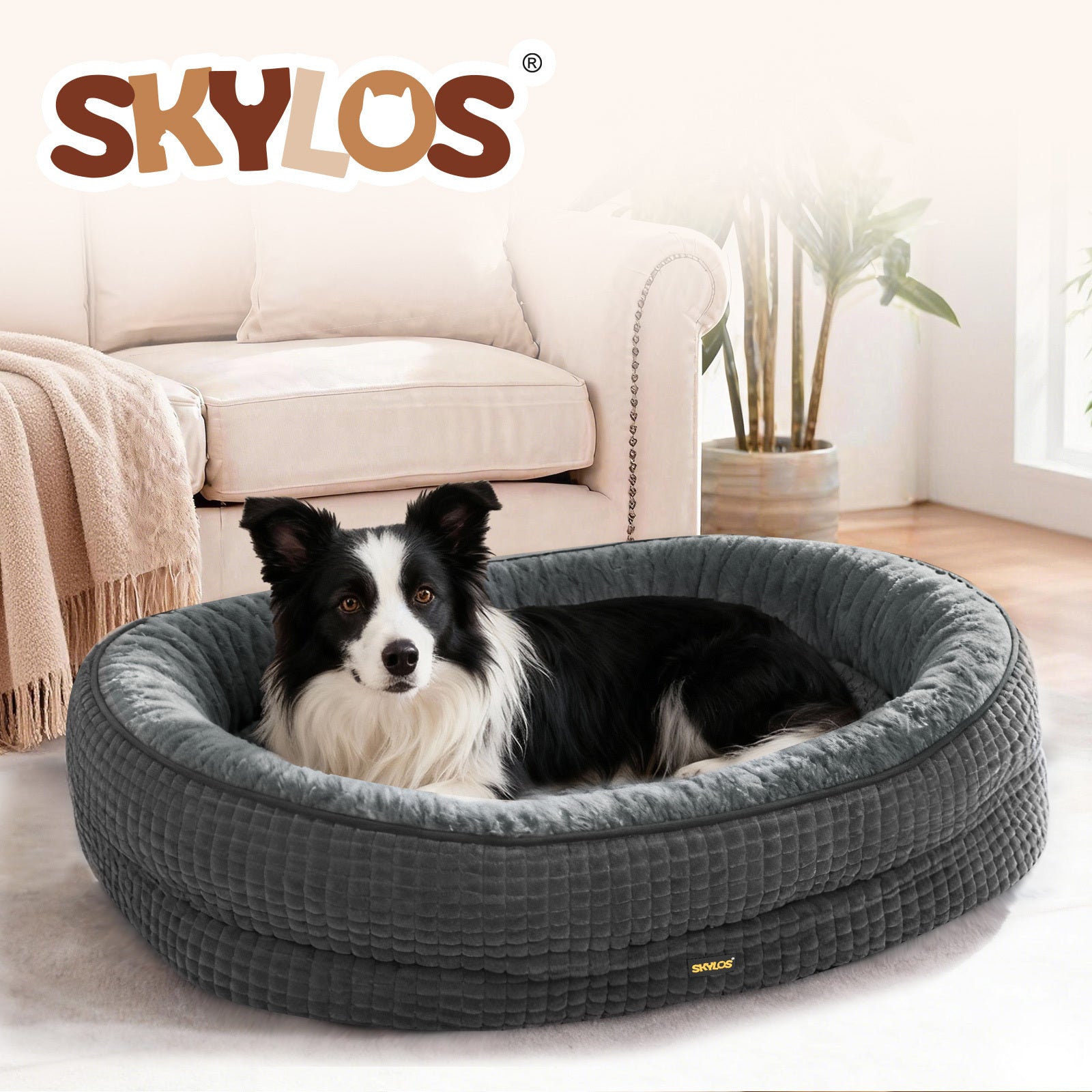 img_7390665