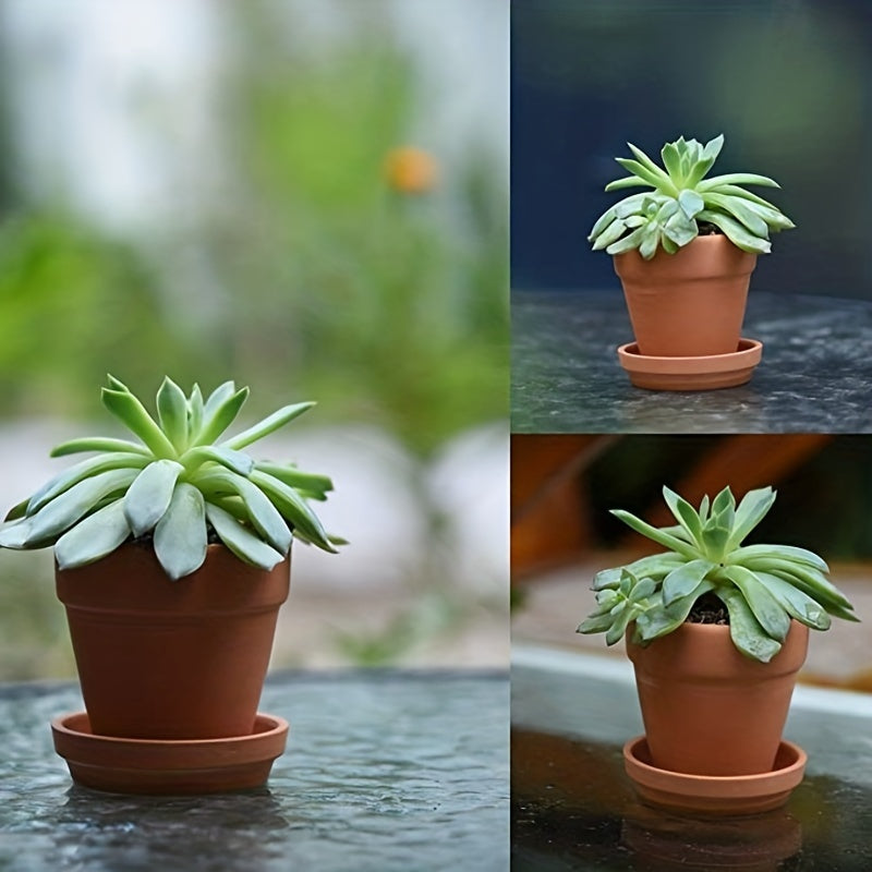 Terracotta Soil Saucer for Flower Nursery Succulent Plants Crafts Wedding Favors