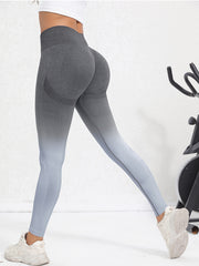 Ombre Workout Leggings Seamless High Waisted Tummy Control Yoga Pants