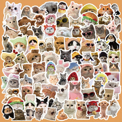 100pcs Funny Cat Series Stickers Laptop Helmet Desktop Water Cup Decor