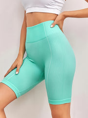 High Waist Stretchy Sports Shorts Moisture Wicking Activewear