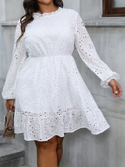 Eyelet Embroidery Lantern Sleeve Mini Dress