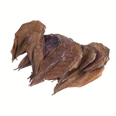20Pcs Catappa Leaves Almond Tree Aquarium Clean Tool Terminalia Leaf