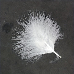 50pcs Colorful Feathers For Flies Bait Hook Fly Tying Material