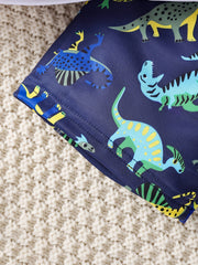 Boys' Dino Graphic Swim Suit & Shorts Set