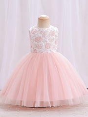 Girls Mesh Flower Embroidered Princess Dress