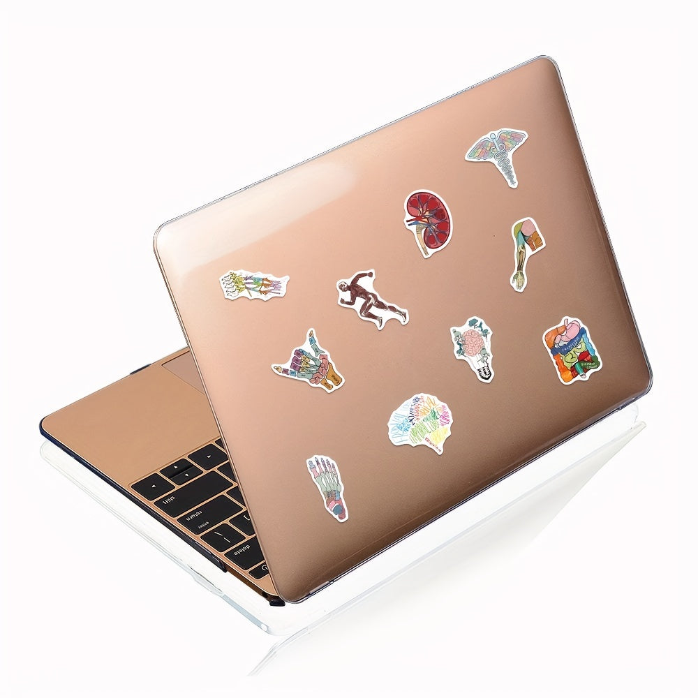 50pcs Anatomy Organ Doodle Stickers for Guitar Laptop Water Cup Luggage Helmet