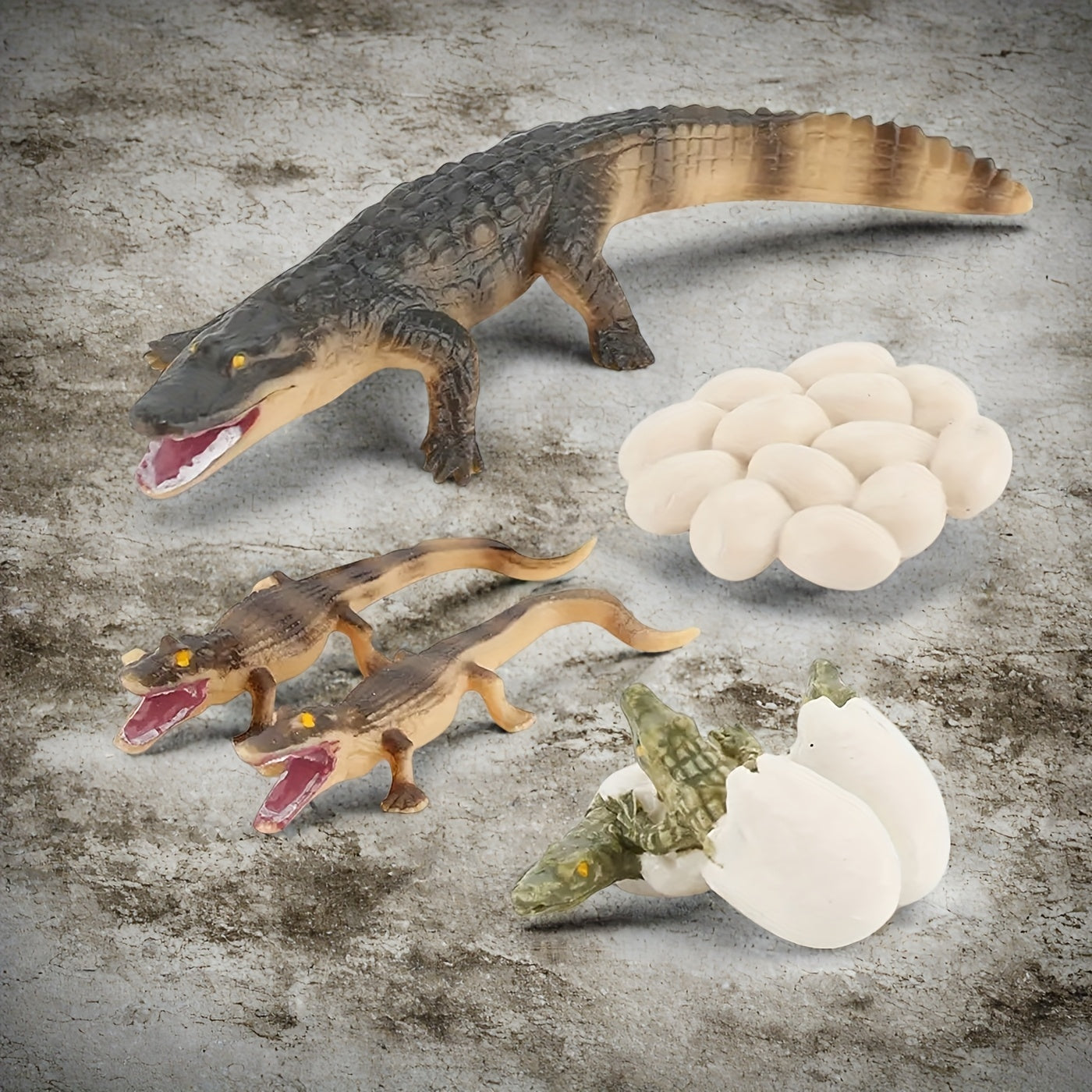 Insect Venomous Animals Growth Cycle Set