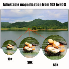 Waterproof Binoculars 20x180 Magnification for Bird Watching