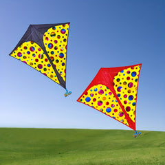 Colorful Kite With Long Tails Easy To Fly - Outdoor Entertainment