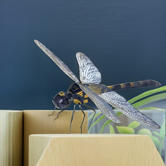 Steampunk Mechanical Insect 3D Model Tachina Puzzle