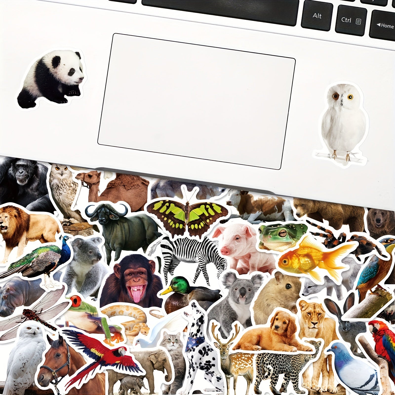 50pcs Farm Zoo Animals Waterproof Vinyl Bulk Stickers For Water Bottles Laptop