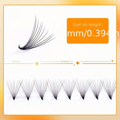 10D Pre Fan Eyelash Extensions 8-15 Mix 0.07mm Tip - Long Lasting False Lashes